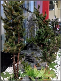 Vestacka Stabla borici 