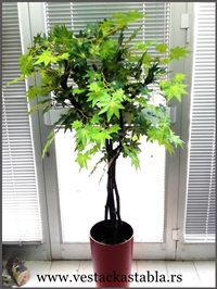 Vestacka stabla Javor 