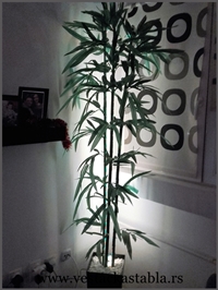 Vestacka stabla Bambus 220cm