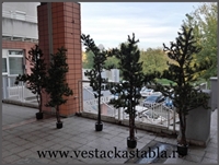 vestacka stabla