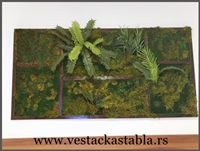 Vestacka stabla Palma