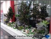 Dekoracija Hola u Sarajevu