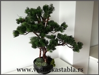 Bonsai stabla 