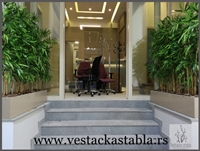 vestacka stabla