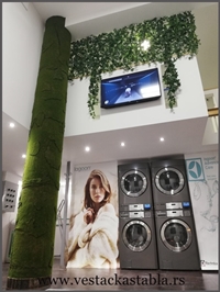 Vestacka stabla Palma