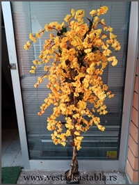 Vestacka Stabla borici 