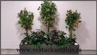 vestacka stabla